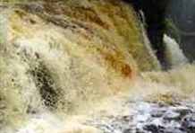 Marvelous Waterfalls near Presidente Figueiredo
